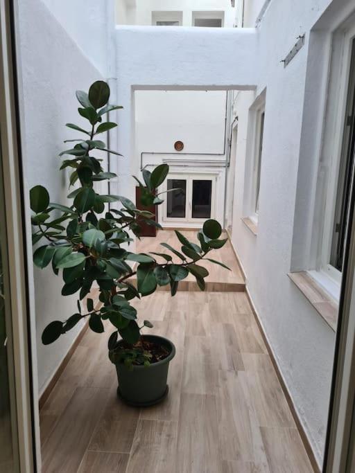 Apartamento Centrico Pontevedra公寓 外观 照片